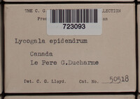 Image Associated With the Occurence
